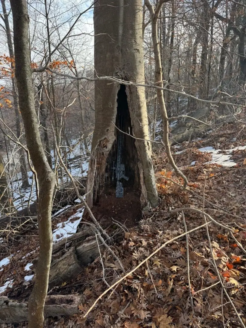Hollow tree trunk with icicles in winter forest