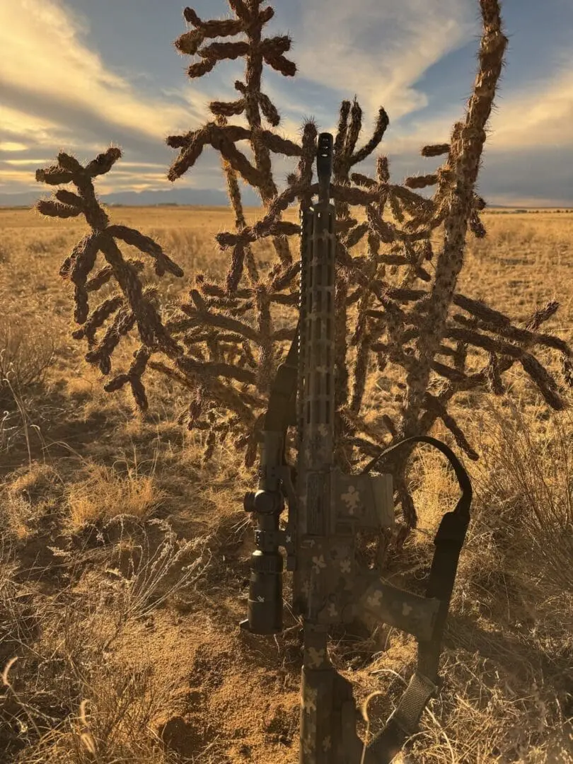 Rifle leaning against cholla cactus at sunset